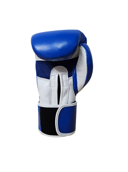 Guantes de Boxeo CLASSIC Azul/Blanco