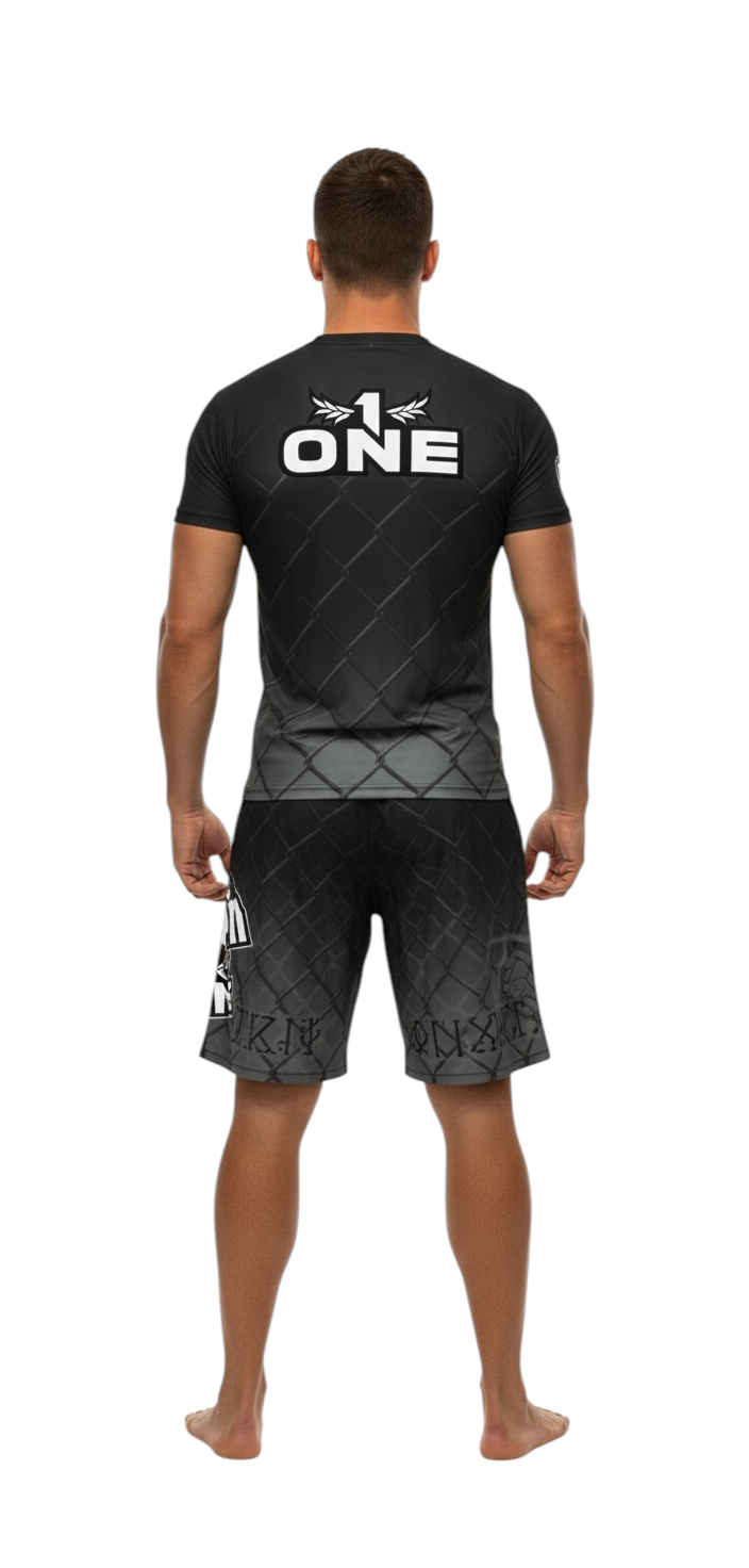 Conjunto de entrenamiento VIKING