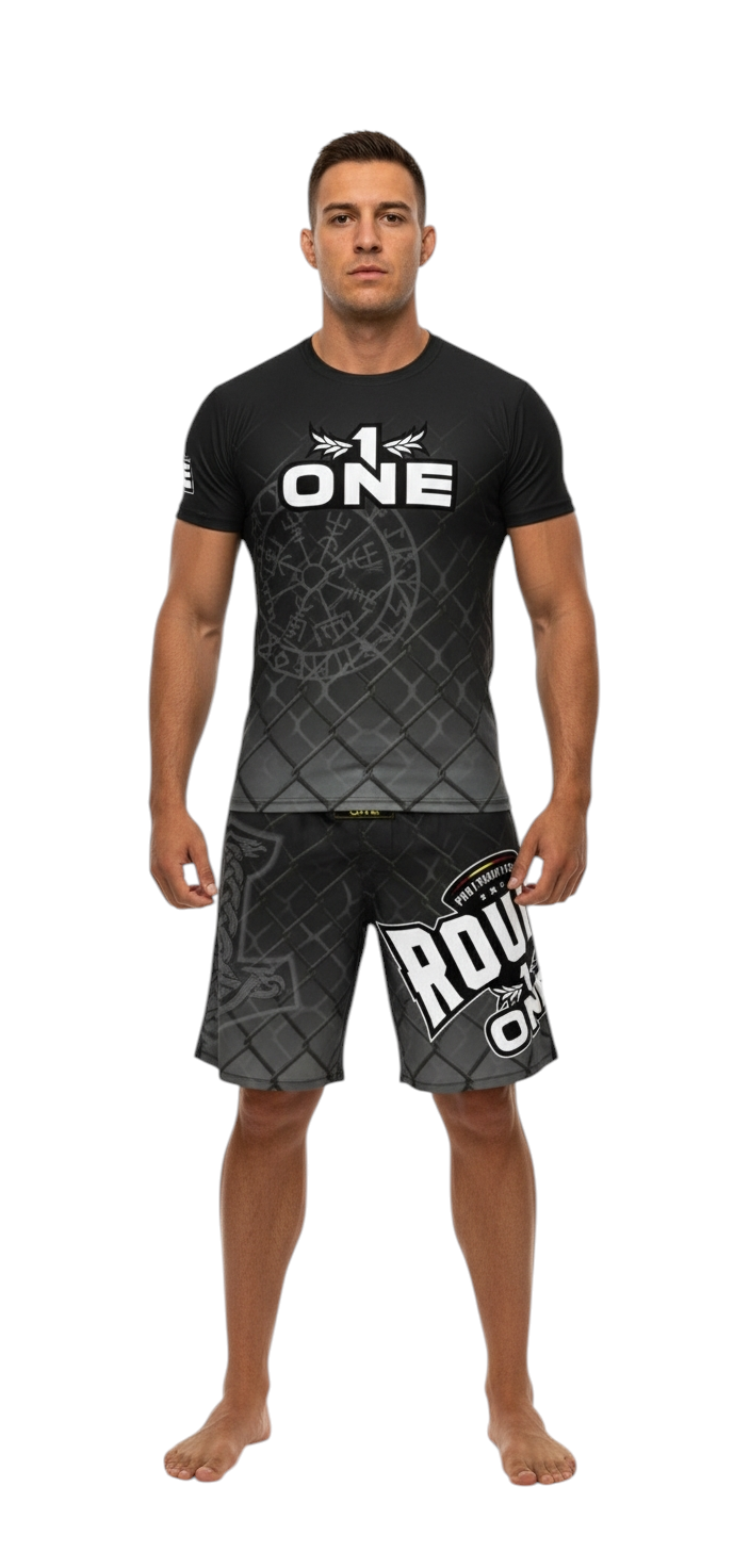 Conjunto de entrenamiento VIKING